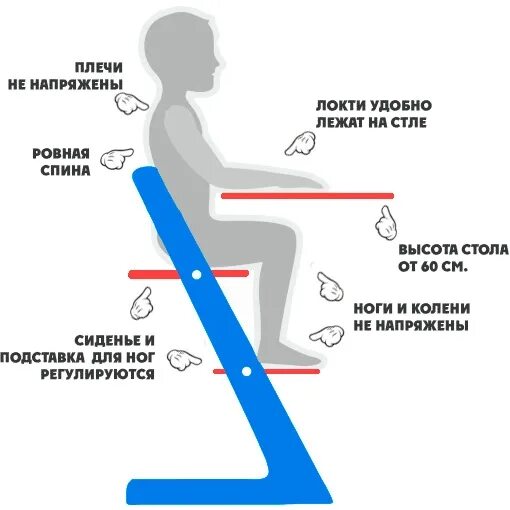 Как правильно разрастаются. Растущий стул для осанки. стул для детей регулируемый для правильной осанки. правильный растущий стул. регулировка растущего стула.