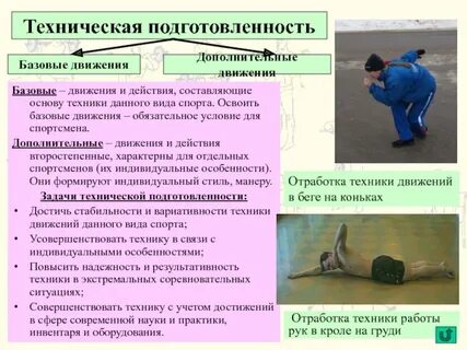 Основные виды движения в спорте