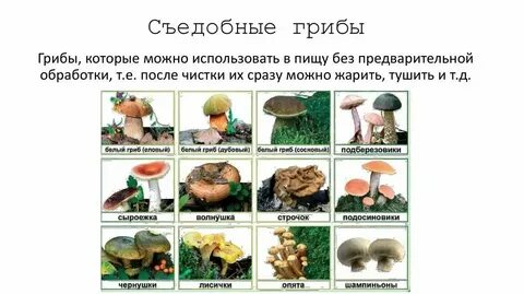 Грибы входят в растения