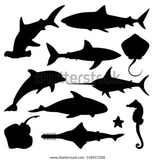 Vector Set Sea Marine Fish Animals Stock Vector (Royalty Free) 558417208 