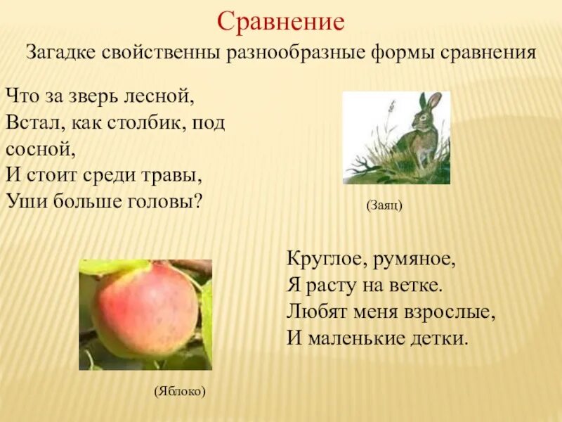 Составить загадку 1 класс литературное чтение. Загадки сравнения. Загадки описания. Загадки с описанием предмета. Загадки описание для детей.