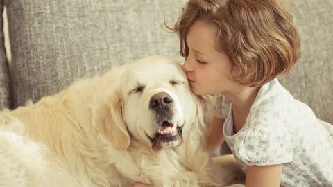 Loyal dogs