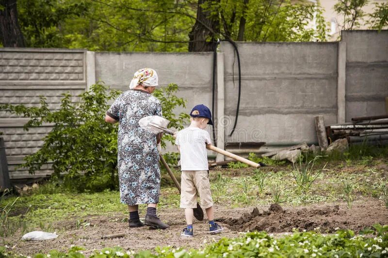 Пришел помочь бабушке. Бабушка с внуком на огороде. Помогать бабушке в огороде. Бабушка с внуком на даче. Бабушка и внучка в саду.