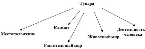 Зона тундры рабочий лист 4 класс