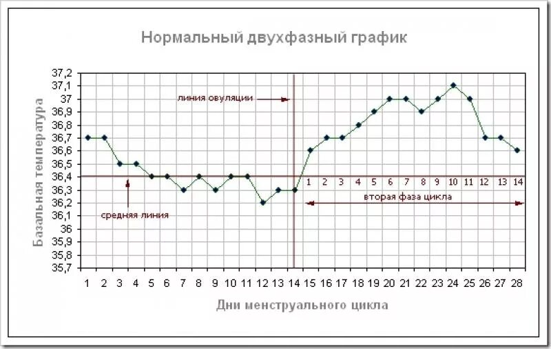 Температурный график менструационного цикла. График базальной температуры норма. График базальной температуры цикла. Графики нормальной базальной температуры. Схема овуляции