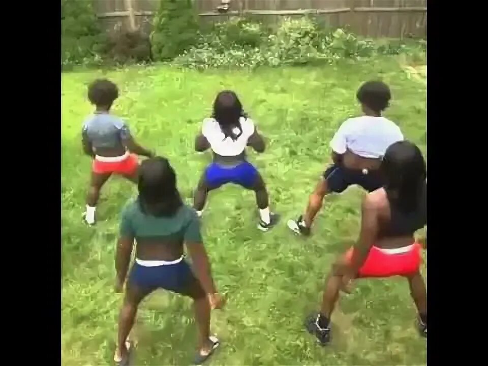 Тверк мем. Тверк гиф. мемы про twerk.