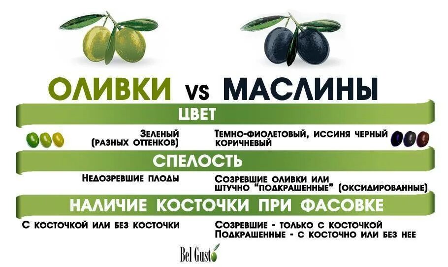 Значение слова оливки. Оливки и маслины разница. Отличие маслин от оливок. Оливки и маслины ращницы. Чем отличаются маслины от оливок.