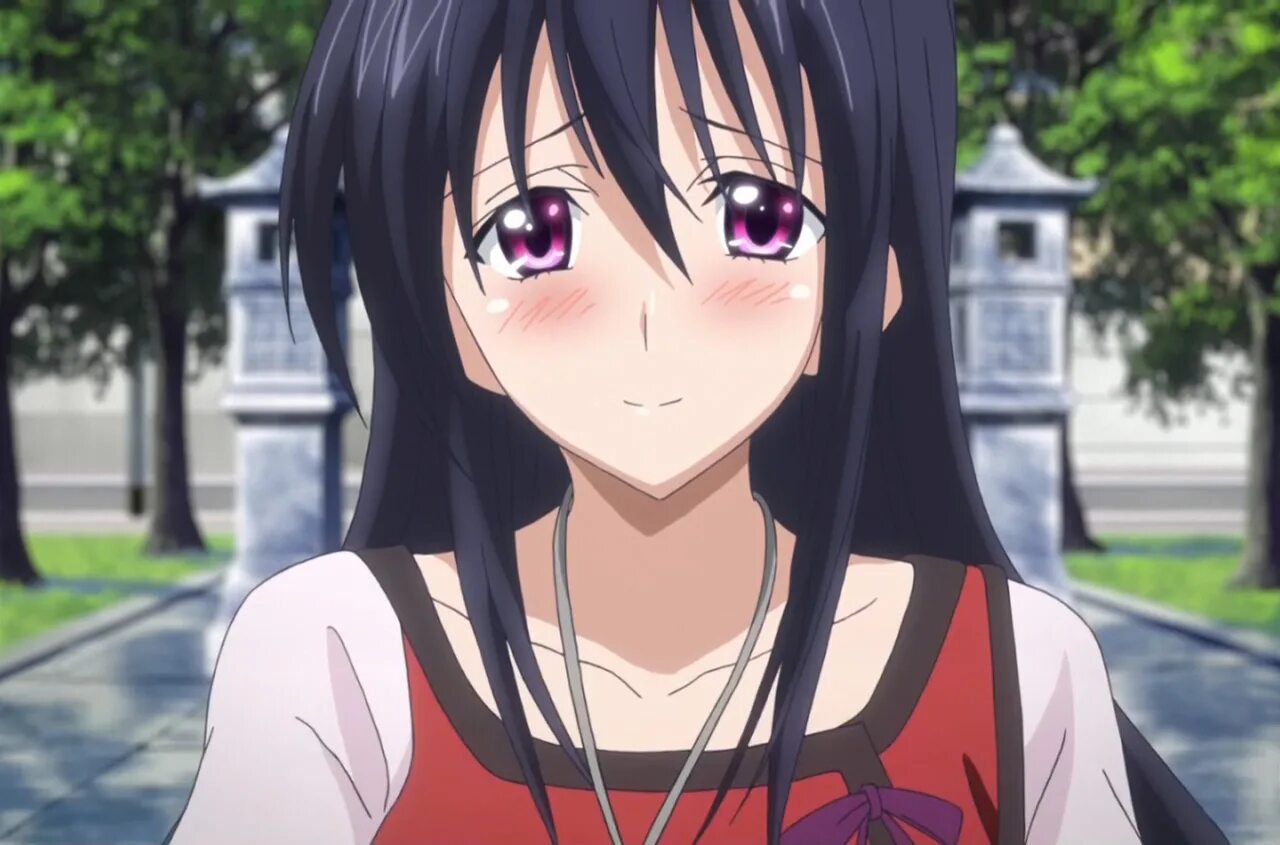 Akeno Himejima. DXD Akeno. Акено ДХД. Акено DXD.