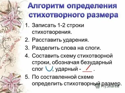 Определить размер стиха горе от ума