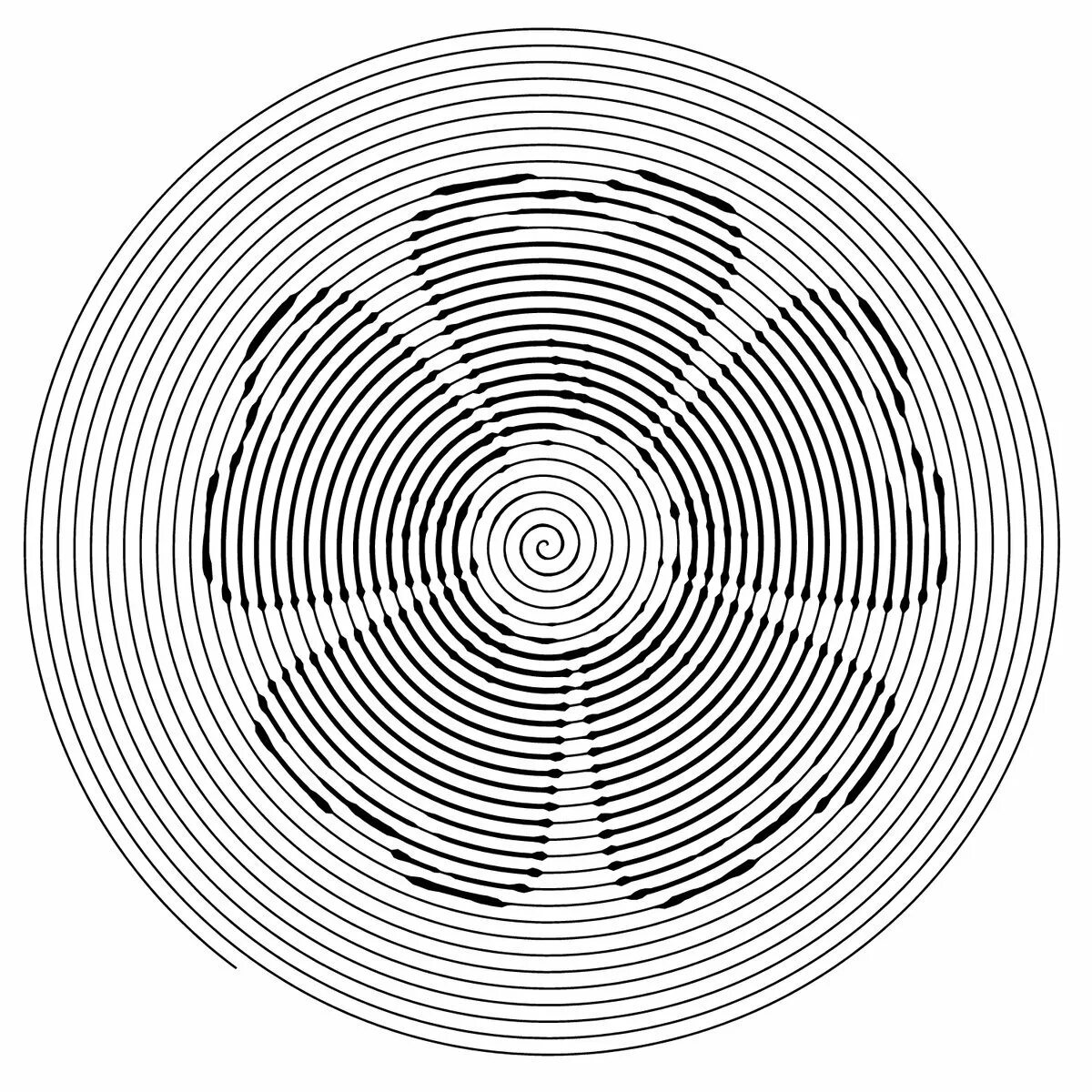 спиральная раскраска коты. раскраска-антистресс животные. раскраска антистресс животные кошки. раскраски мандала котики. Spiroglyphics пейтон.