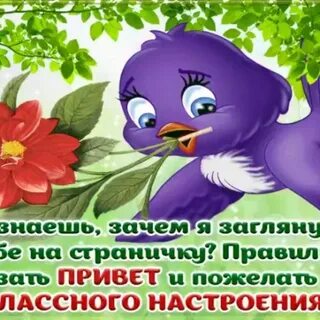 Стал говорить привет