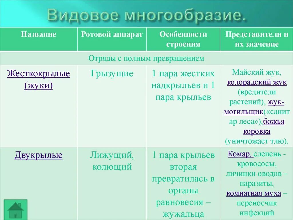 Отряд насекомых тип развития. Биология 7 класс насекомые отряды насекомых таблица. Представители особенности строения. Отряды насекомых Тип развития. Отряд особенности строения представители.