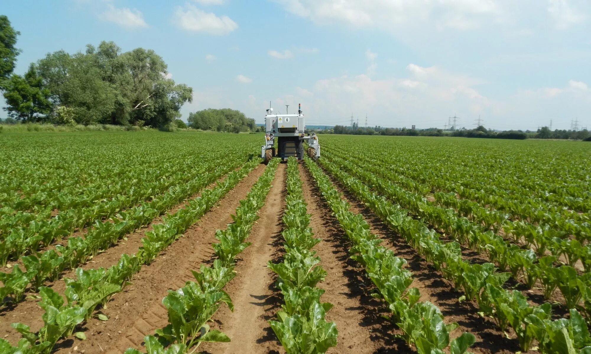 Робототехника в сельском хозяйстве. Робототехника в сельском хозяйстве. Роботы в сельском хозяйстве. Промышленное сельское хозяйство. Автономное сельское хозяйство.