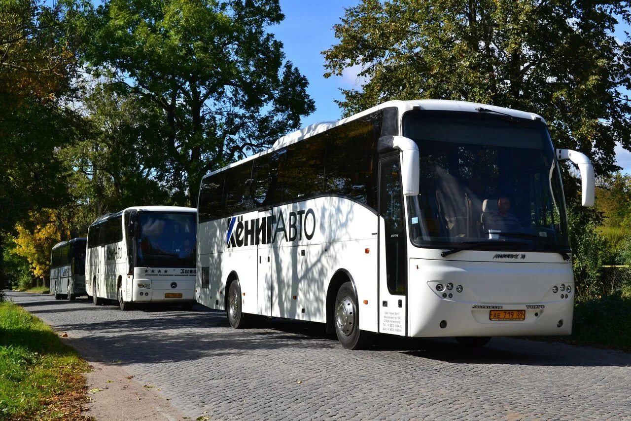 Международный автовокзал автобус. Неоплан Калининград. Автобус Германия Калининград. Калининград Вильнюс автобус. Вольво Калининград автобус.