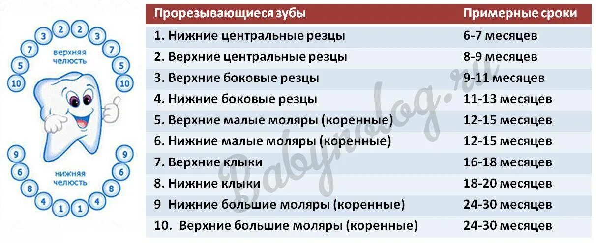 Температура зубы как сбивали