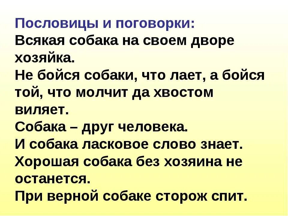 Значение пословицы собака друг человека. Пословицы про собак. Поговорки про собак. Пословицы и поговорки про собак. Пословицы о животных и человеке.