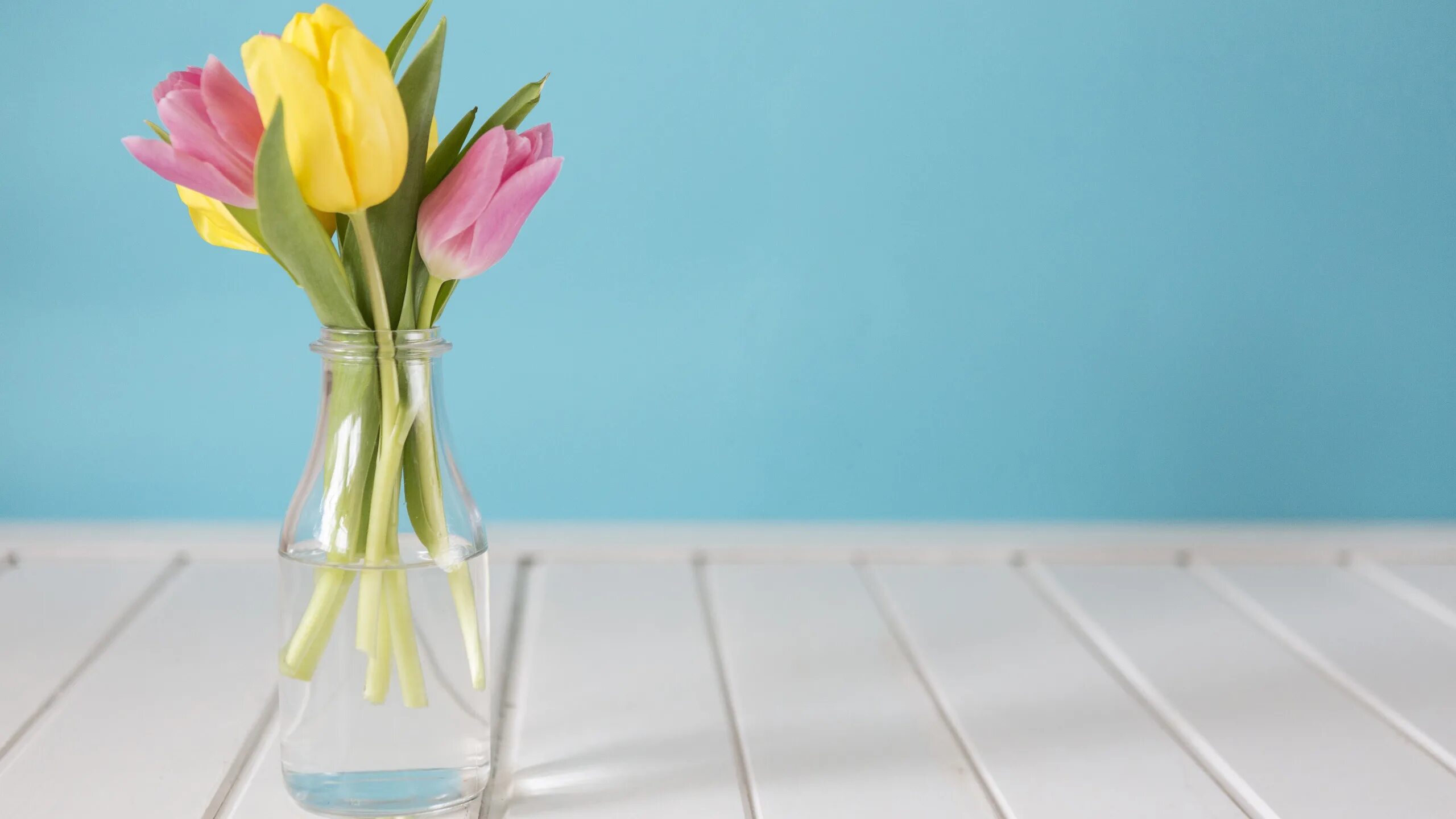 Тюльпаны минимализм. Ваза с тюльпанами. Тюльпаны в вазе. Тюльпаны в вазах. Цветы тюльпаны в вазе.