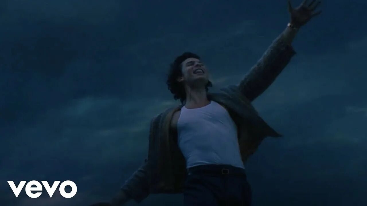 Песня looking at the stars. Shawn Mendes Concert look up at the Stars.