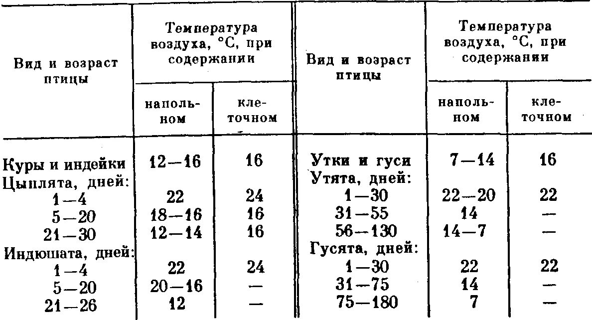 Температура тела кур. Микроклимат для птиц. Параметры микроклимата птичника. Нормы микроклимата для птиц. Микроклимат для бройлеров таблица.