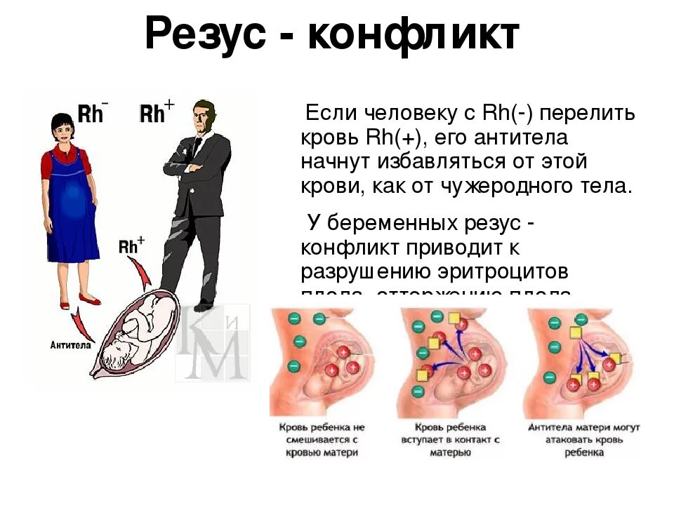 Причины механизм возникновения резус-конфликта. Резус конфликт мать положительная ребенок отрицательный. Резус-конфликт при беременности таблица по группам крови. Причины возникновения резус конфликта.