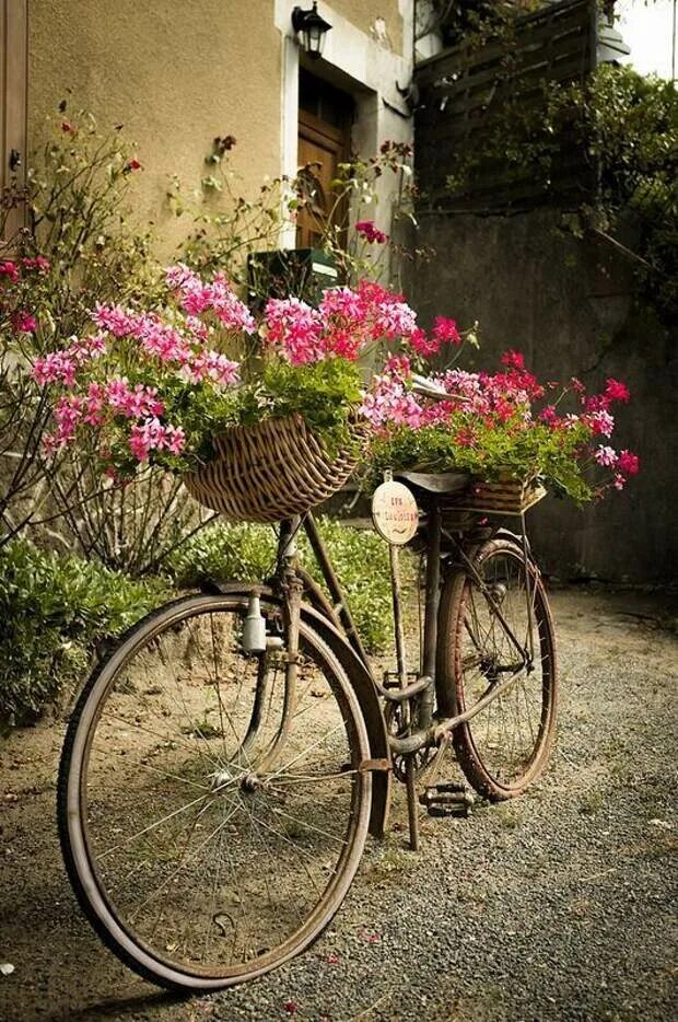 Велосипед в цветах зеленый. Велосипед цветы. Красивые велосипеды. Старый велосипед. Велосипед с корзиной цветов.