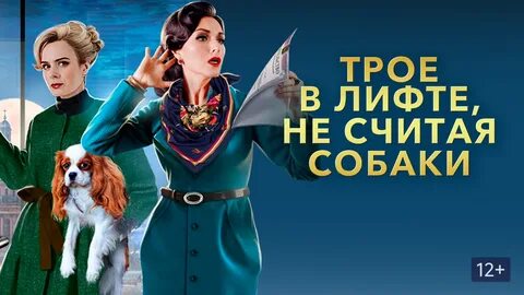 В лифте не считая собаки