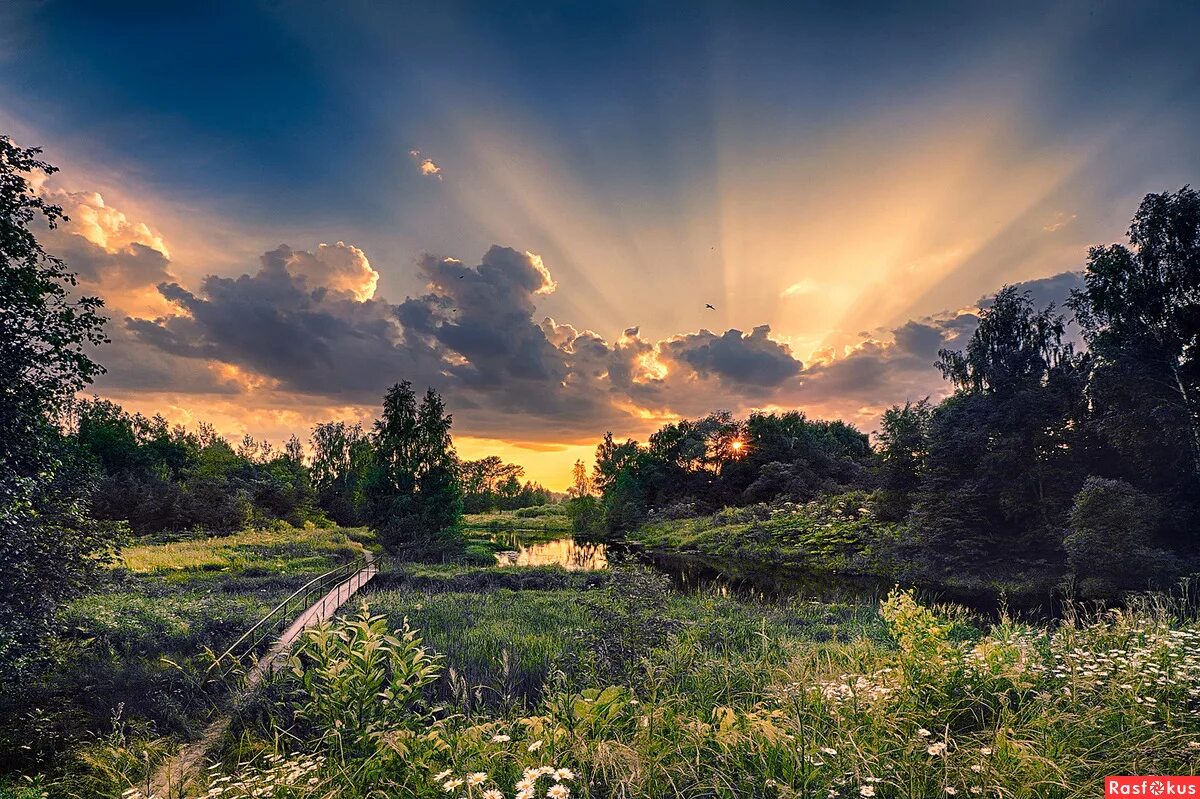 лета луч отзывы