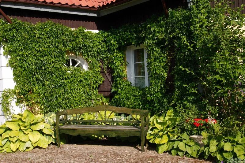 Pin by Olesya on Home Garden bridge, Outdoor, Outdoor structures