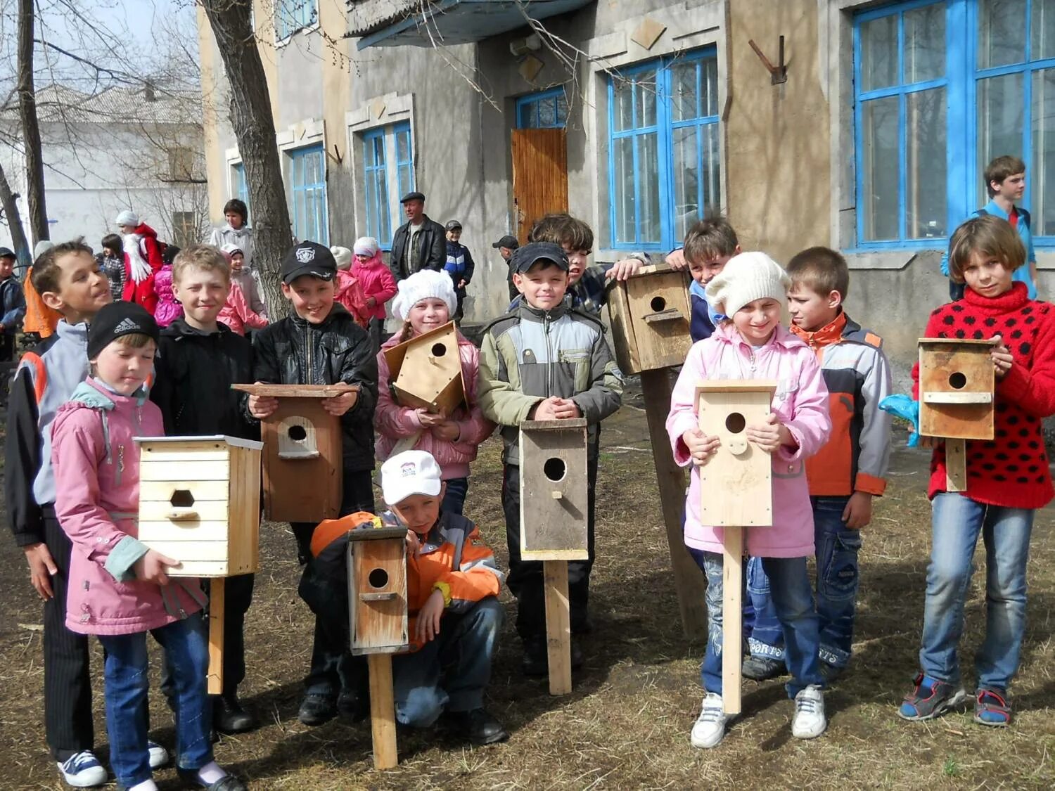 рябинный скворец. проект скворечники для птиц в школе. сокотранский длиннохвостый скворец. школа скворец. изложение скворцы 3 класс.