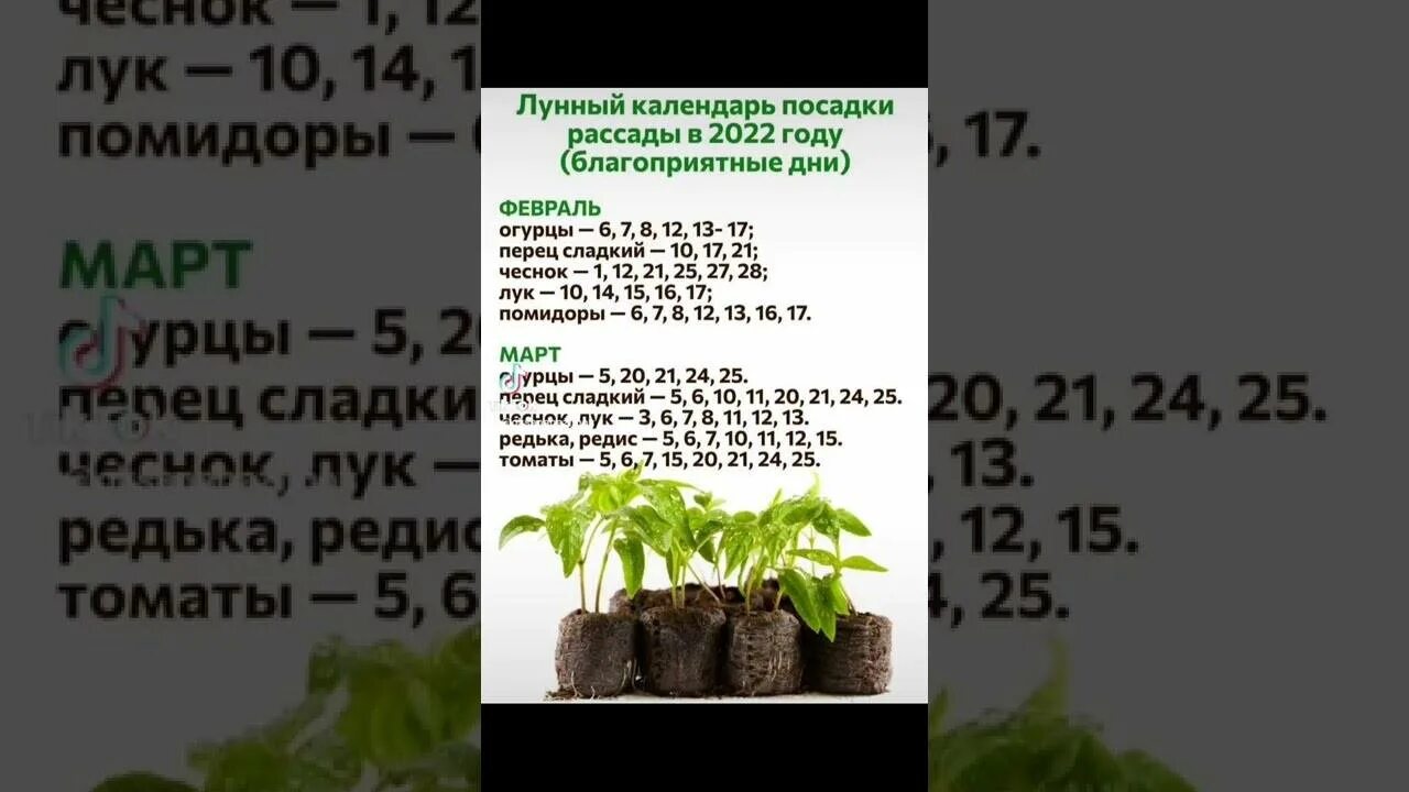 Когда в марте 2024 года сеять баклажаны. Календарь посадки рассады. Лунный календарь для посадки рассады. Дата посадки рассады. Лунный уалендарьпосева рассады.