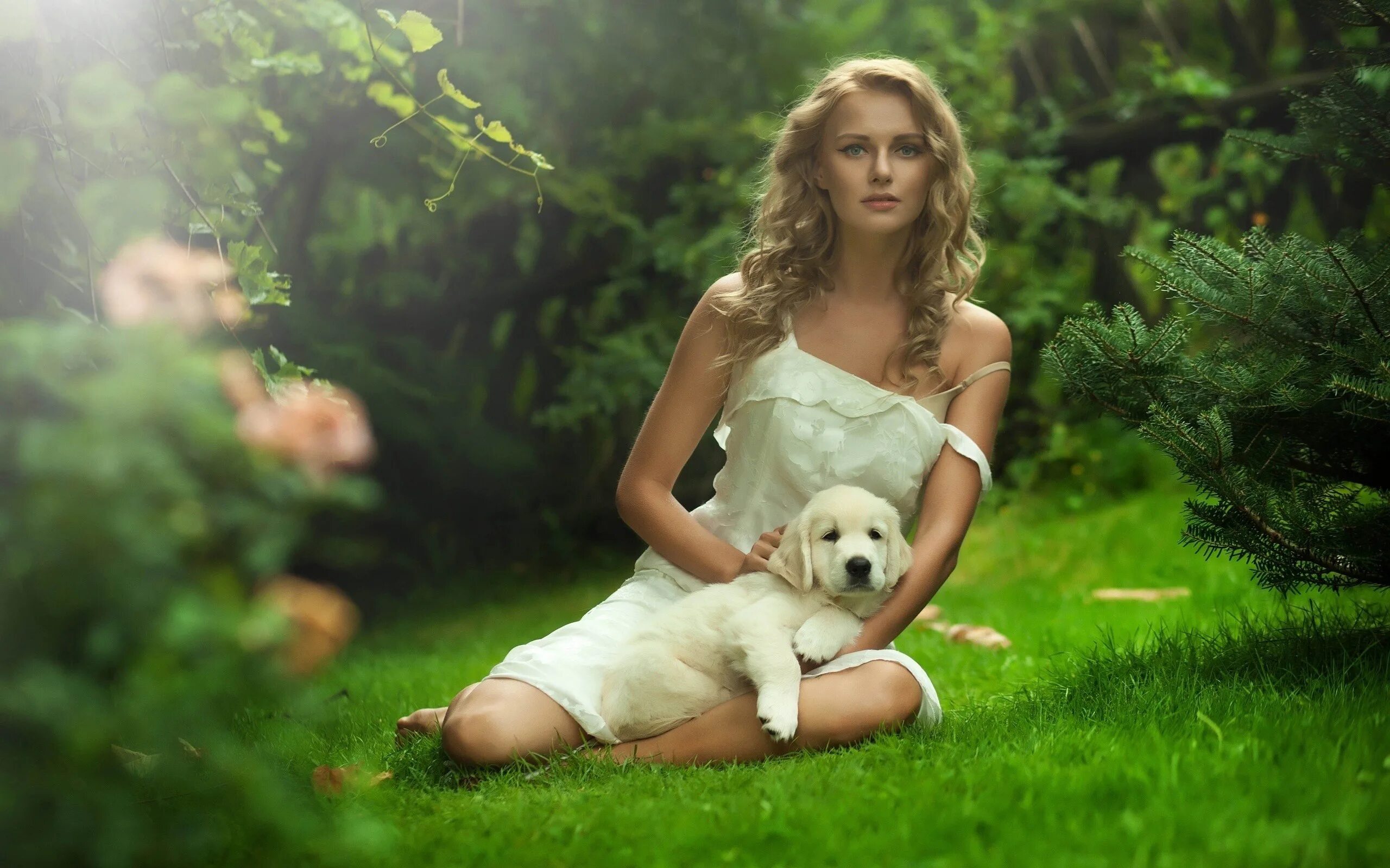Совсем на природе. Девушка сидит на траве в платье. Блондинка с собачкой. Красивые девушки на фоне природы. Собака на природе.