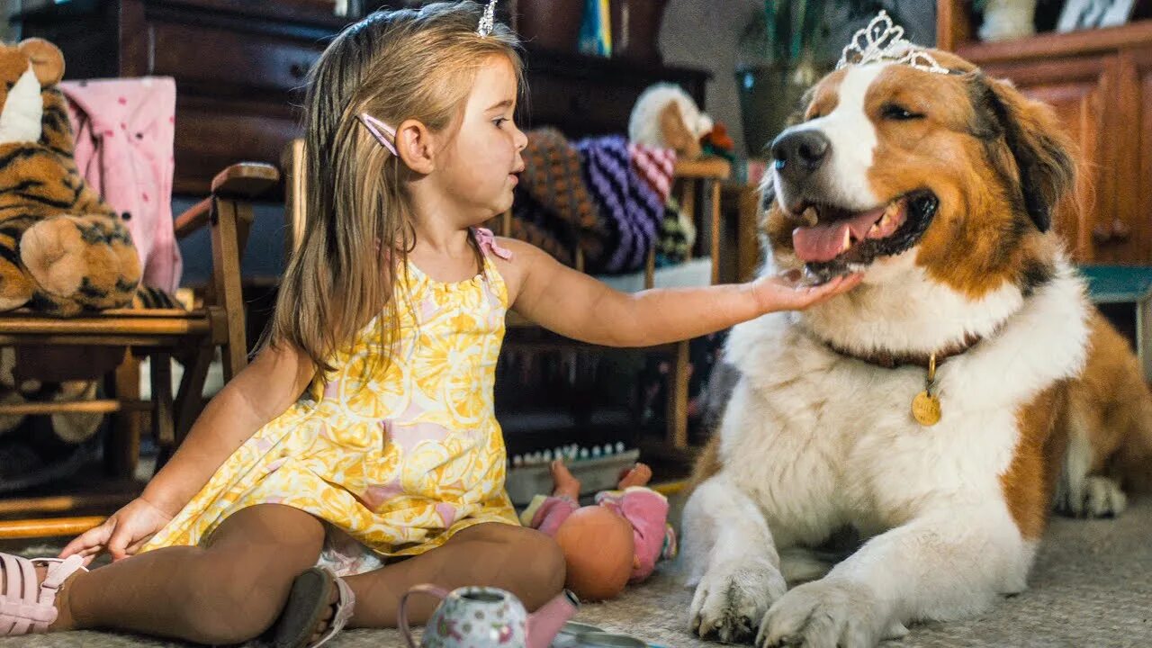 Космо сериал актёры. Сериал собака точка. Аннасофия робб 2005. Эвери ханнелиус с собакой. Ёлки лохматые 2.