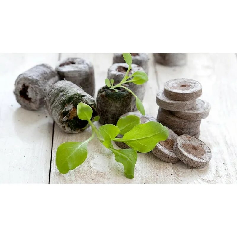 торфяные горшочки для рассады плюсы и минусы