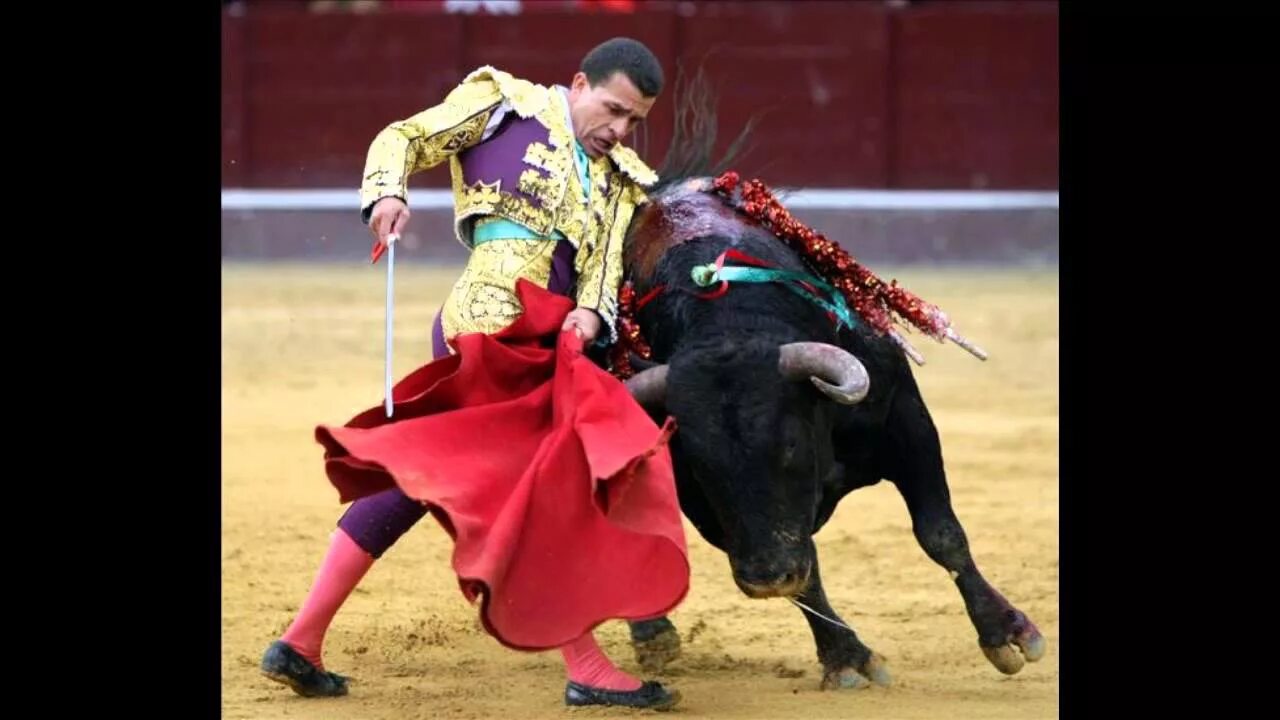 Конфеты тореро. Конфеты тореро. Тореро кондитерская фабрика куркино. Torero производитель. Torero производитель.