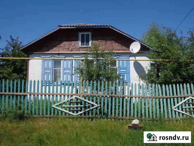 Погода крутец каменский. Погода крутец каменский. Погода крутец каменский. Мотоцикл врезался в дерево. Погода крутец каменский.