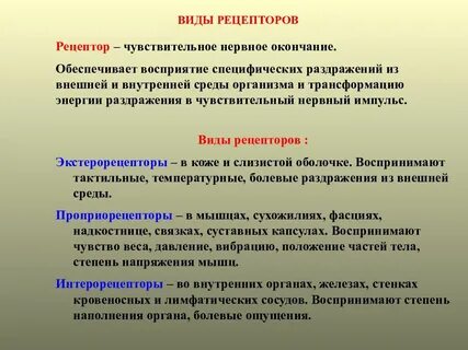 Восприятие раздражителя
