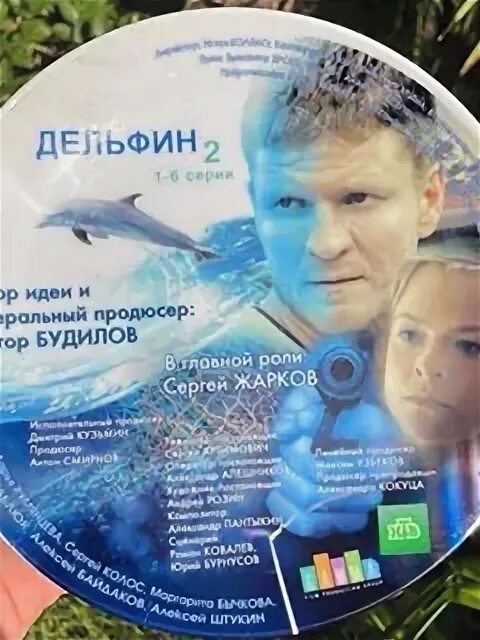 Купание с дельфинами. Дельфин существо обложка. Дельфинарий немо схема зала с местами. Дельфин 4 дата выхода. Дельфины и девушка.