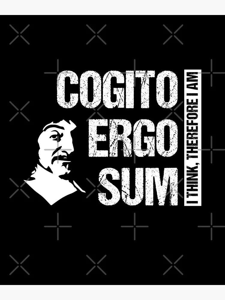 Эрго сум. Cogito Ergo sum. Когито Эрго сум Декарт. Cogito, Ergo sum. Мыслю, следовательно, существую.. Cogito Ergo sum фото.