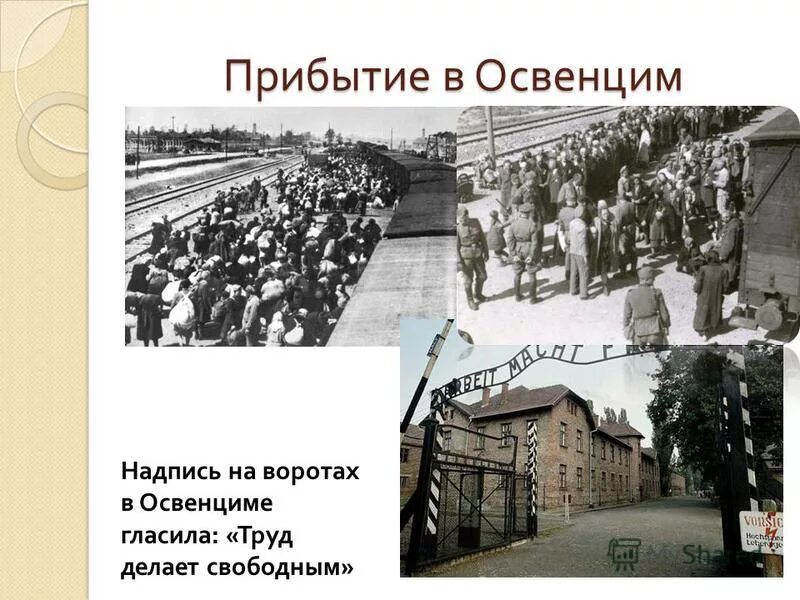 концлагеря освенцим бухенвальд дахау. каждому свое на освенциме. что было написано на освенциме. ворота концлагеря аушвиц надпись. освенцим концлагерь надпись на воротах.