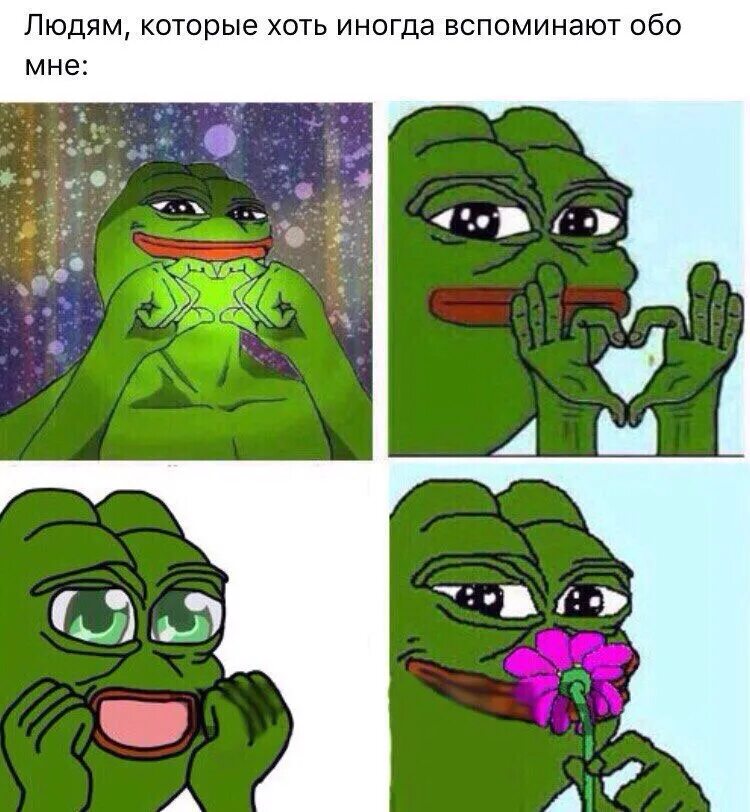 Мем про жабу. Мемы с жабами. Мены с жабами. Мем про жабу. Мем про жабу.