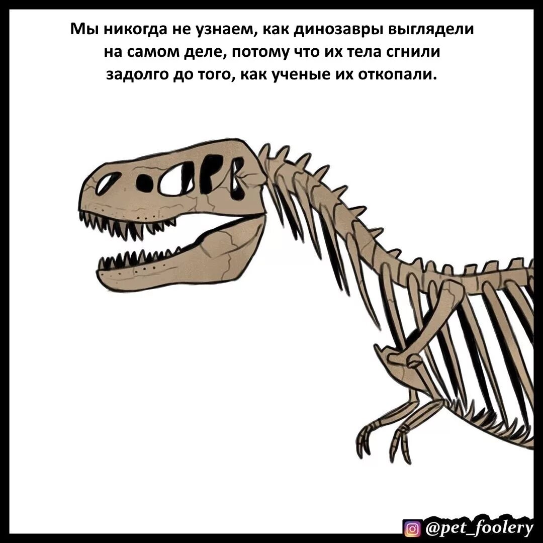 Смешные динозавры. Самые смешные динозавры.