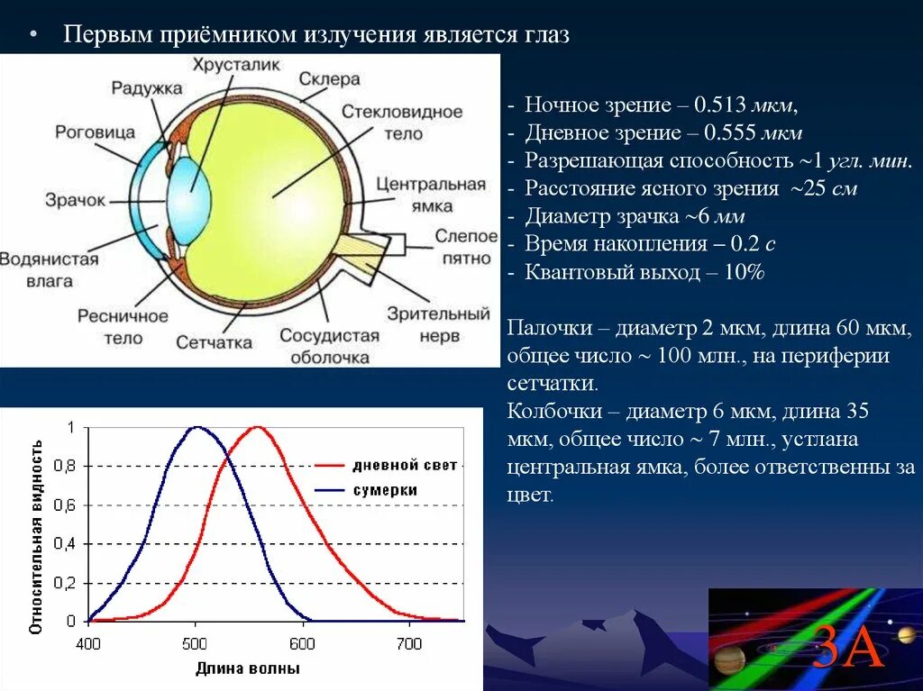 Ночное зрение 1.19. Приемники излучения. Дневное сумеречное и ночное зрение. Спектральная чувствительность человеческого глаза. Приемники светового излучения.