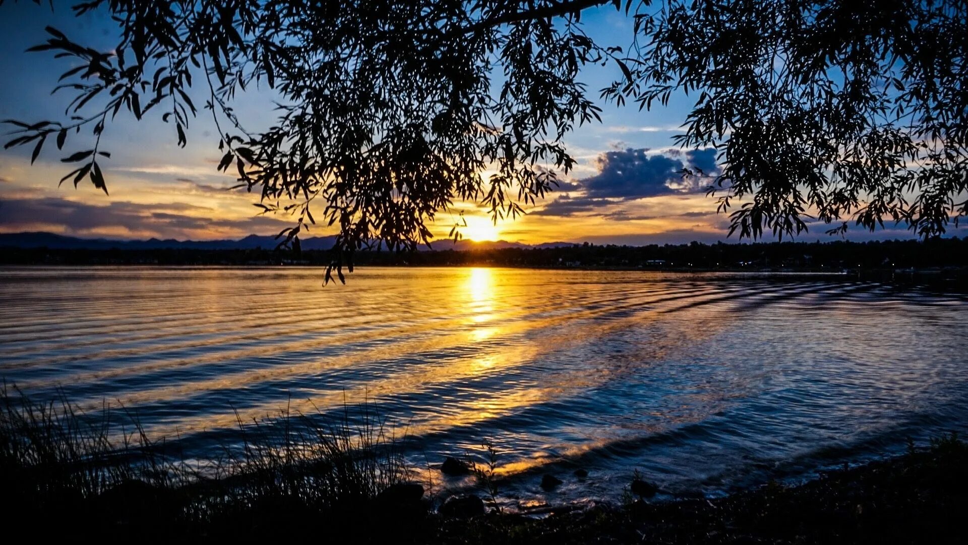 Озеро Сенеж. Озеро Сенеж Солнечногорск. Озеро Сенеж Солнечногорск рассвет. Деревня Сенеж Белоруссия.