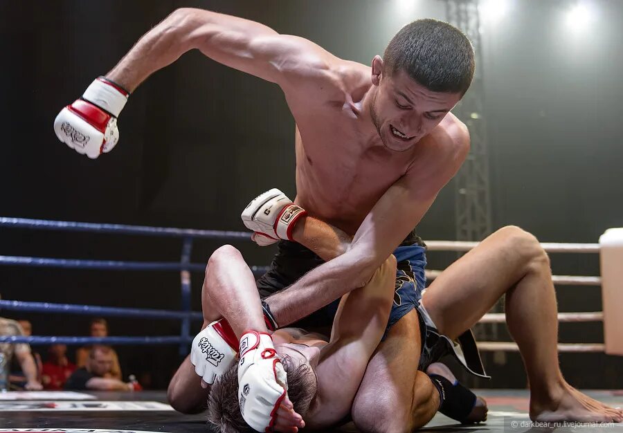 Какой может быть драка. Какой может быть драка. Какой может быть драка. Фильм бои ченнинг татум. Какой может быть драка.