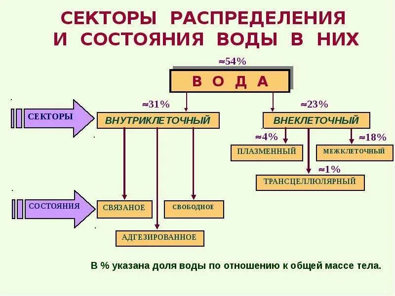 Перераспределение воды в организме. Патология водно электролитного баланса патофизиология. Патогенез нарушений водно-солевого обмена патофизиология. Патофизиология нарушений водно-электролитного баланса. Отеки. Типовые нарушения водно солевого обмена патофизиология.