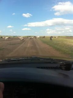 Омск боровое казахстан
