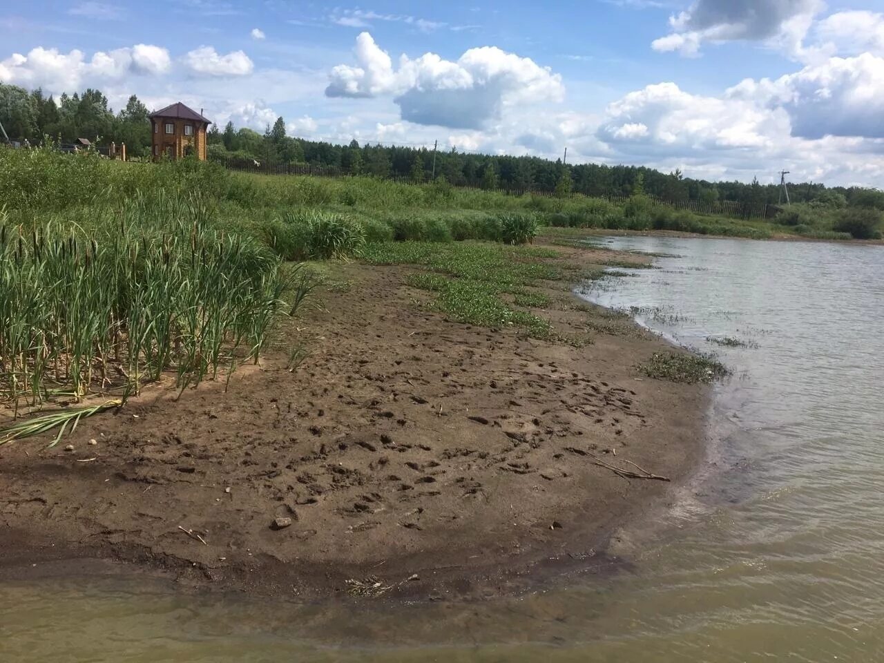 Пересохший водоем