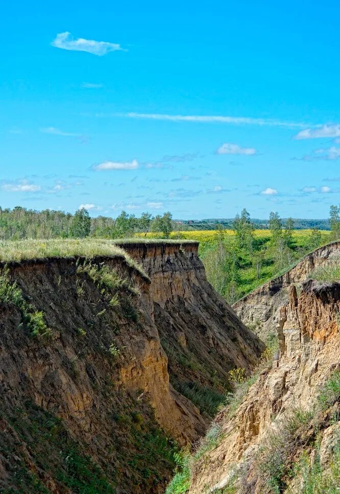 Берег Драверта Омская область. Горьковский район берег Драверта. Берег Драверта лежанка. Урочище берег Драверта. Берег драверта