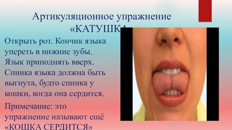 Язык и зубы звуки. Упражнения артикуляционной гимнастики. Артикуляционная гимнастика для языка. Гимнастика для язычка. Артикуляционная гимнастика упражнения для языка.