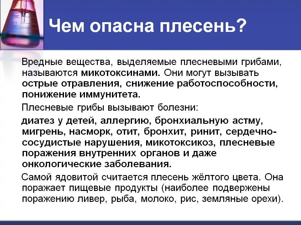 Проблема плесени